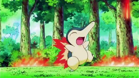 ash's cyndaquil|how to evolve cyndaquil.